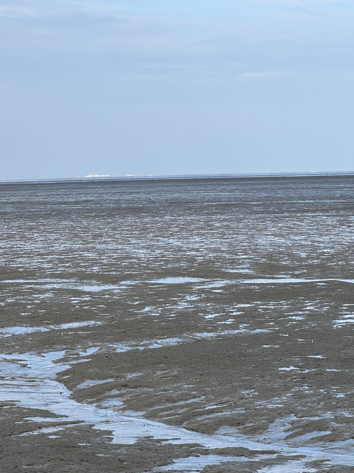 浜町の写真