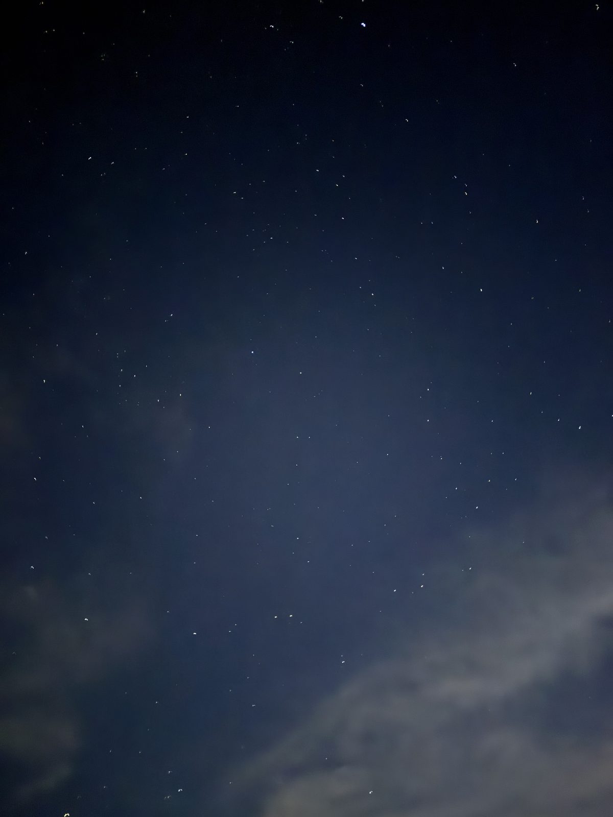 定点君ブログの写真