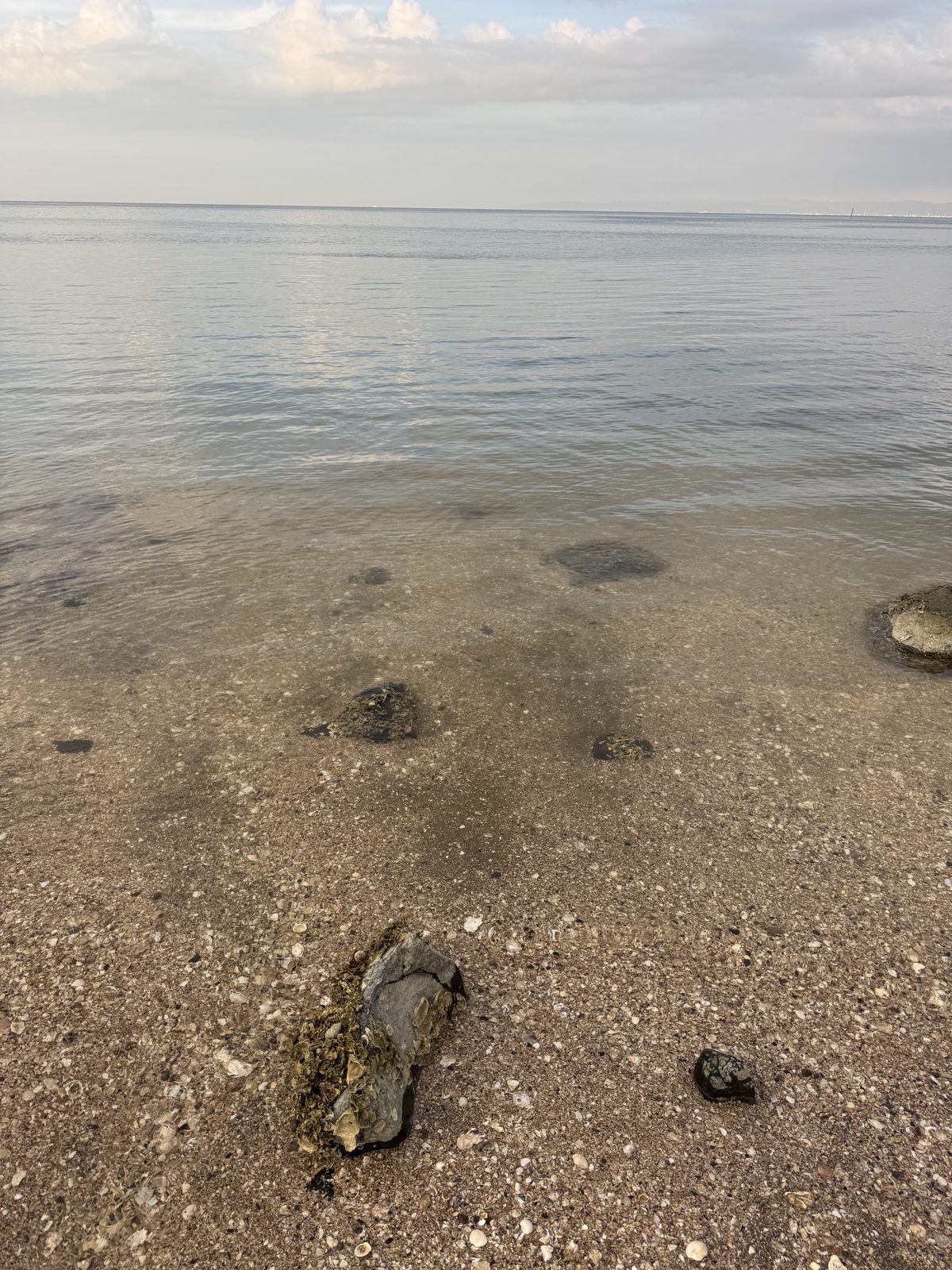 大浦の写真